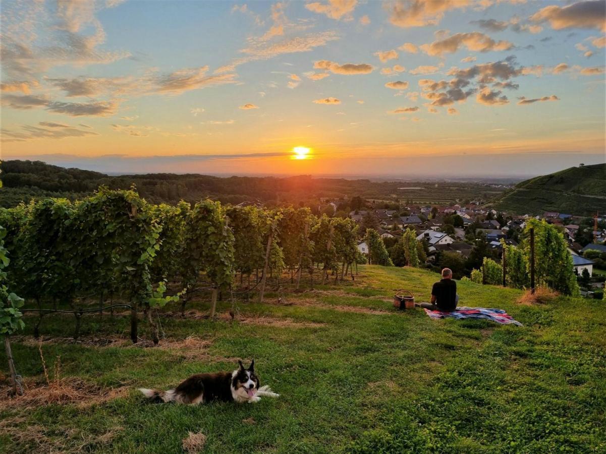 Wörner 2* Durbach